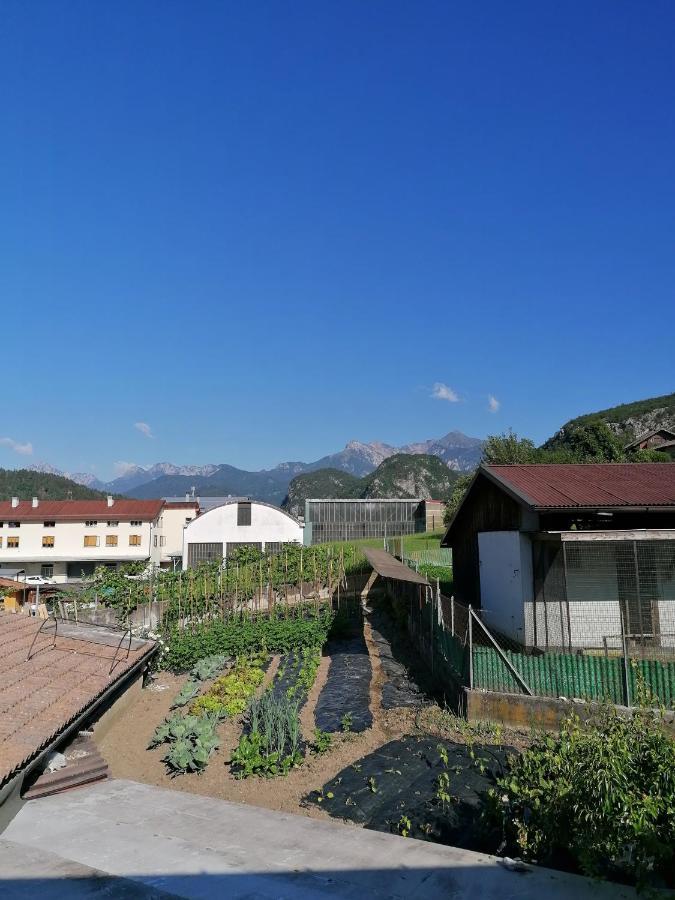 Al Fogolar Hotell Villa Santina Exteriör bild